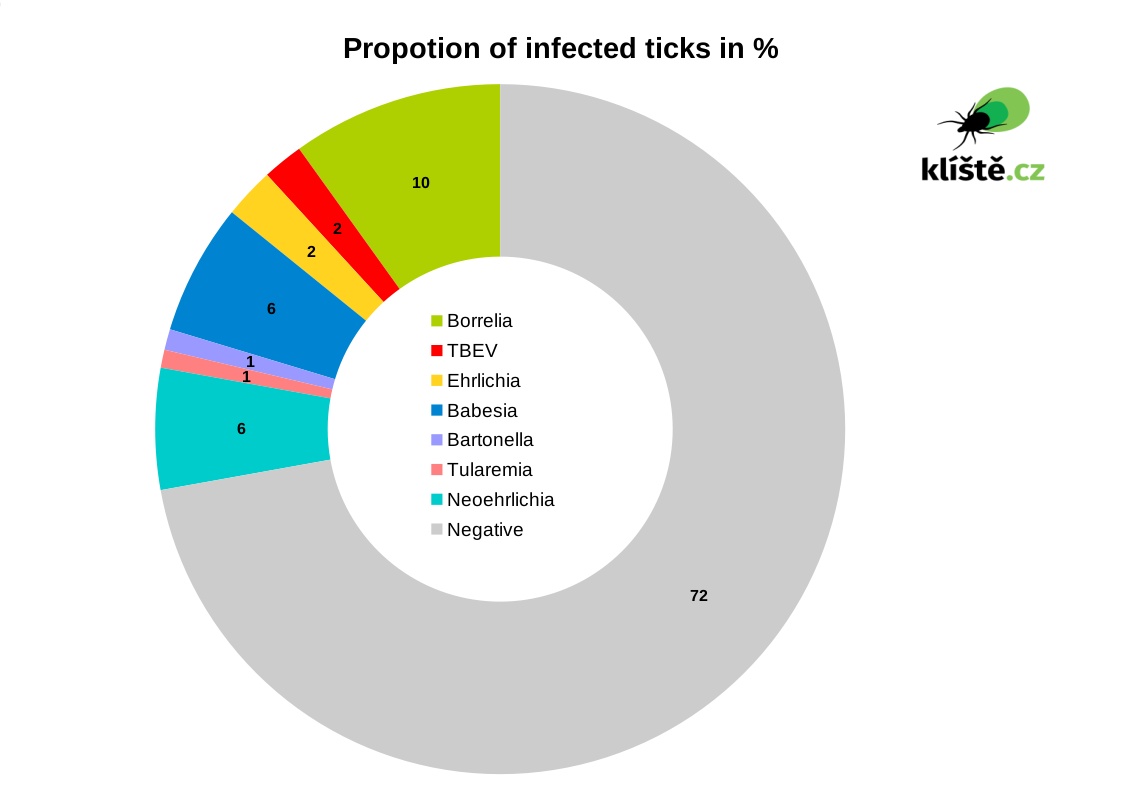 infected ticks